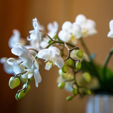 Opus 16, A Member Of Small Luxury 5* Берген